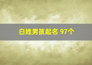 白姓男孩起名 97个